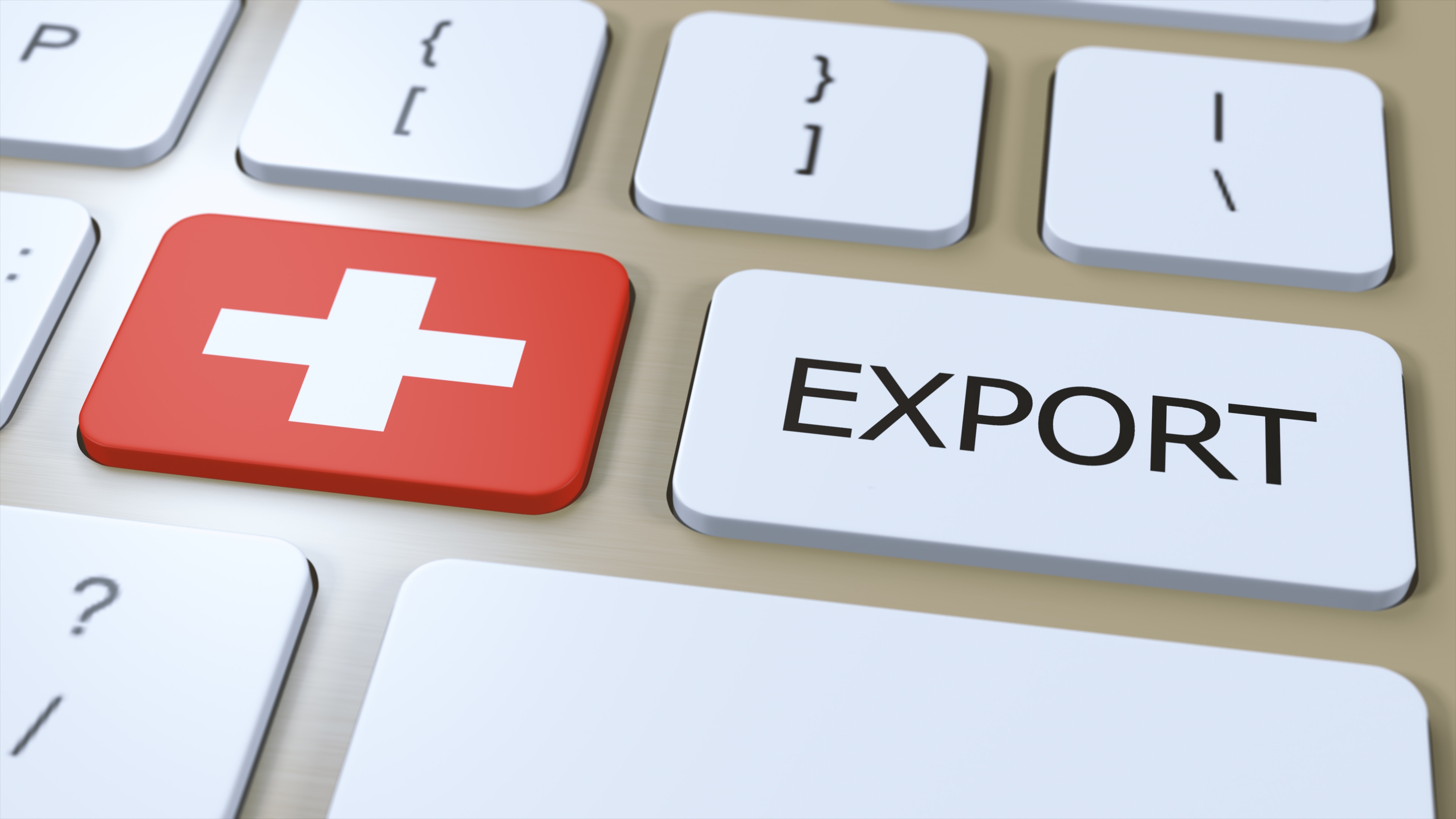 Exportverzollung Passar